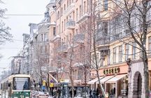 Exclusive Guided Helsinki VIP Tour by Mercedes V class