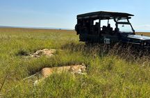 4 Days 4WD Private Maasai Mara, Nakuru Parks with Lodge LUXURY