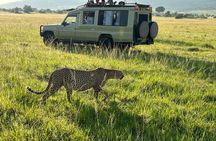 4 Days 4WD Private Maasai Mara, Nakuru Parks with Lodge LUXURY