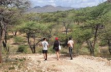Private Guided Walking Tour with the San in Windhoek