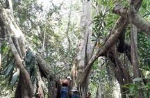 3/Days 2 Nights Amazon Rainforest Wildlife 270 usd