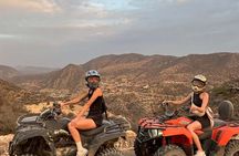 Agadir Quad Bike Safari and Goats in Argan Trees with Tea