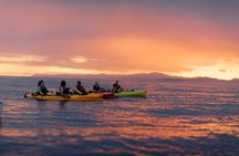 Sunset Kayak tour in Kaikoura