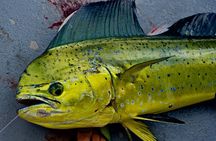 Private Deep Water Fishing in Kauai