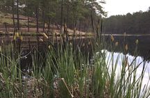 Bushwalking/Hiking adventure from Riga 