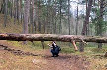 Bushwalking/Hiking adventure from Riga 