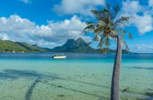 Half a day to discover Bora Bora with O-sea 