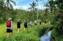 Tree to Sea: A 6-Day Bali Heritage Trail