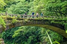Takachiho Gorge and Amaterasu Railway Tour in Fukuoka