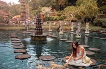 Bali Customized Private Tour 