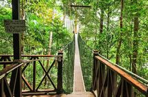 Taman Negara Tour
