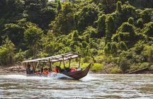 Taman Negara Tour