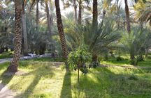 Al Ain Day Trip with International Private Buffet Lunch