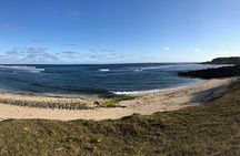 Buggy Tour South of Mauritius