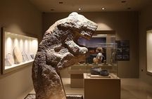 Daily Gobeklitepe Private Tour 