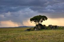 4 Days Group tour Tarangire Serengeti and Ngorongoro crater