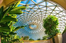 Half day Brisbane Sightseeing Tour 