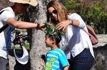  Olympic Site All-Inclusive Private Walking Tour