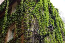 The Essence of Rome: A Walk Beyond the Ordinary (Small Group)