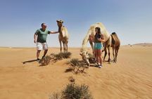 Dubai Morning Red Dunes Safari, Quad Bike, Camel & Sandboarding