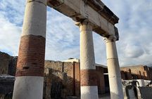 Pompeii and Vesuvius Private Tour from Naples