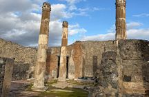 Pompeii and Vesuvius Private Tour from Naples