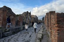 Pompeii and Vesuvius Private Tour from Naples