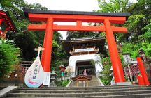 Kamakura Private Tour Great Buddha & Enoshima with English guide