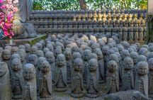 Kamakura Tour Great Buddha Enoshima & English Pro Guide & Driver