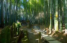 Kamakura Tour Great Buddha Enoshima & English Pro Guide & Driver