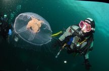 First Time Diver Scuba Experience