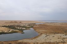 Private Full Day Tour in Wadi El Rayan and Wadi El Hiten