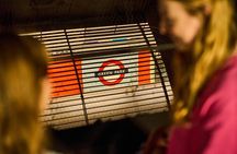 Hidden Tube Walking Tour of Green Park Station