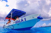 Cozumel 4-Hour Private Trip to Heaven