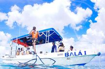 Cozumel 4-Hour Private Trip to Heaven