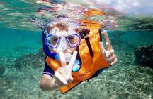 Cozumel 4-Hour Private Trip to Heaven