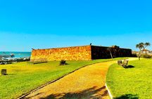Port Elizabeth City Tour
