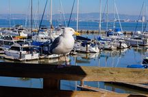 Fisherman’s Wharf & Pier 39 Food Tour - Includes Full Meal, 3 hrs