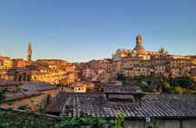 Private Guided Tour of Siena with a Licensed Local Tour Guide