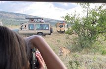 3 Days 2 Nights Maasai Mara Group Safari by 4WD From Nairobi
