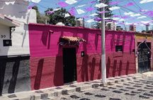  Walking Tour Experience in Ajijic Mexico