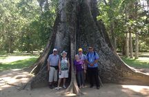 Private City Tour in Rio de Janeiro