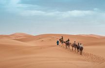 Dubai Desert Safari Tour with 4WD Transportation
