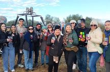 Balloon flight in Teotihuacan from Mexico City