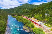 Guided tour to Viking Village, Nærøyfjorden Cruise & Flåm Railway