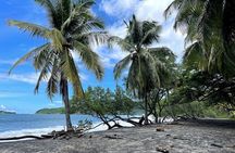 Beach Hopping Snorkel and Sunset Tours in Flamingo Bay