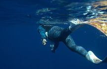 Beach Hopping Snorkel and Sunset Tours in Flamingo Bay