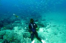 Beach Hopping Snorkel and Sunset Tours in Flamingo Bay