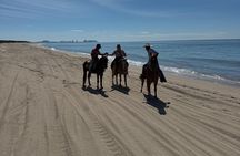 Jungle and Beach Horseback ride Tour in Pacific Coast