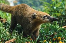 Premium 2-Day Iguazu Falls Trip with Airfare from Buenos Aires